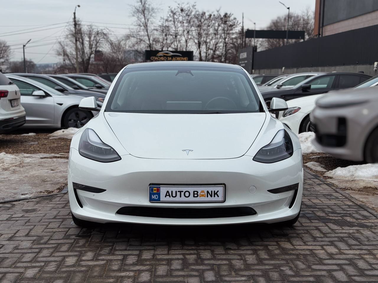 TESLA MODEL 3