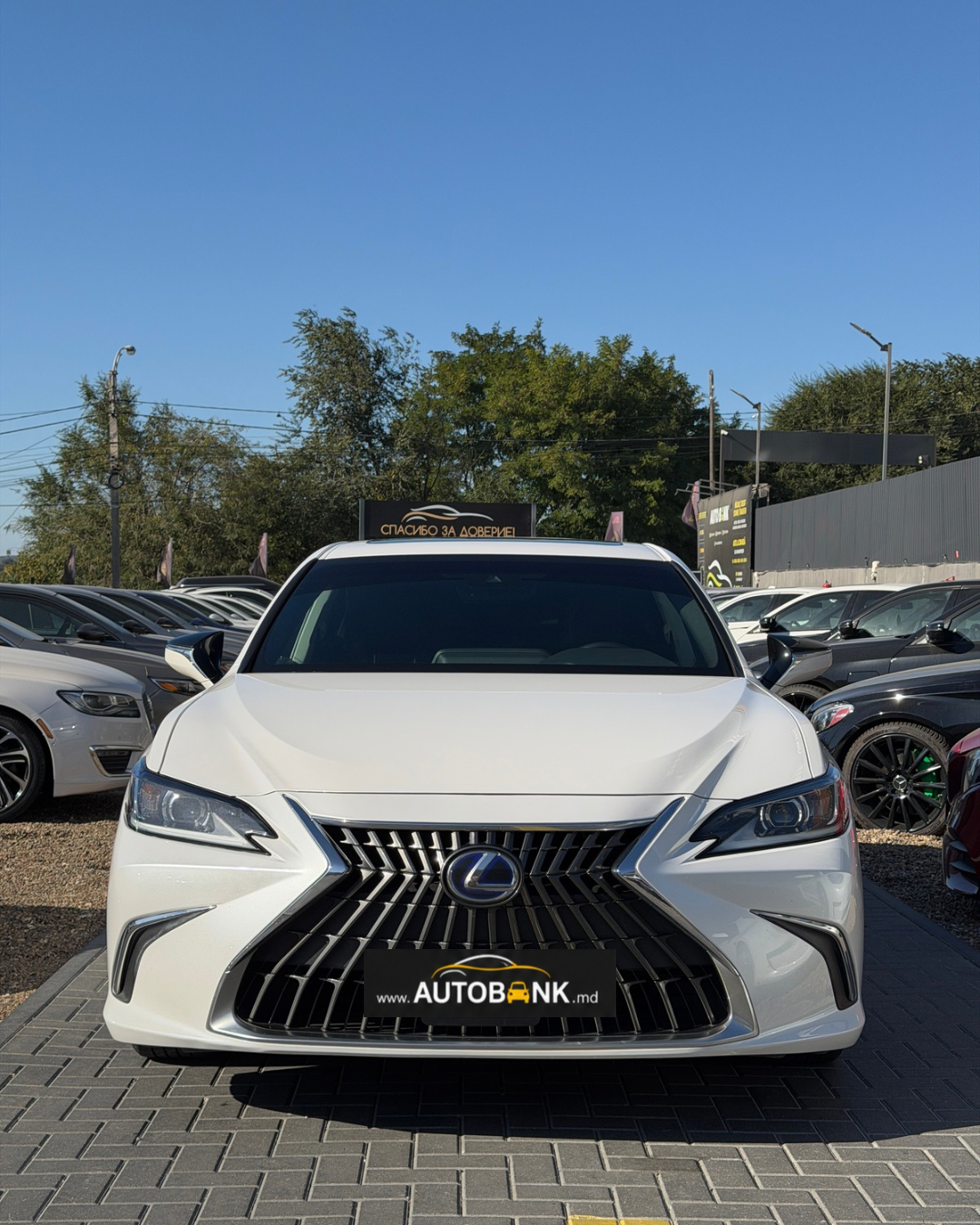 LEXUS ES 2022